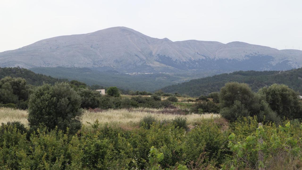 Echo Traditional House - Ηχώ Παραδοσιακό Σπίτι Émbonas Exterior foto